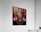 Chicago Bears 4 Acrylic Print