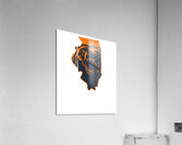 Chicago Bears 16 Acrylic Print
