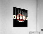 Chicago Bears 27 Acrylic Print