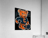Chicago Bears 30 Acrylic Print