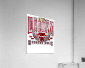 Chicago Bulls 51 Acrylic Print