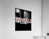 Cincinnati Bengals 4 Acrylic Print
