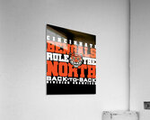 Cincinnati Bengals 5 Acrylic Print