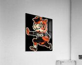 Cincinnati Bengals 17 Acrylic Print