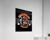 Cincinnati Bengals 19 Acrylic Print