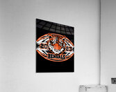 Cincinnati Bengals 20 Acrylic Print