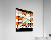 Cincinnati Bengals 22 Acrylic Print