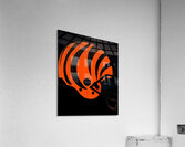 Cincinnati Bengals 27 Acrylic Print