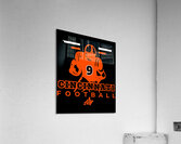 Cincinnati Bengals 29 Acrylic Print