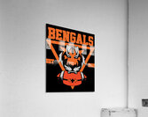 Cincinnati Bengals 30 Acrylic Print