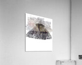 Eminem 43 Acrylic Print