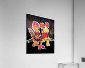 fraggle 42 Acrylic Print