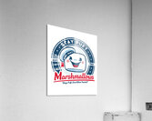 Ghostbusters 32 Acrylic Print