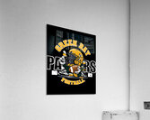 Green Bay Packers 26 Acrylic Print