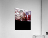 Helltaker 27 Acrylic Print