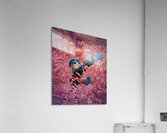 Invincible 33 Acrylic Print