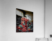 Invincible 37 Acrylic Print