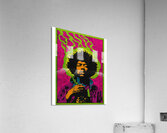 Jimi Hendrix 47 Acrylic Print