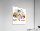 Kinks 15 Acrylic Print