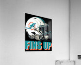 miami dolphins 4 Acrylic Print