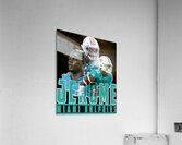 miami dolphins 5 Acrylic Print