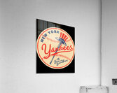 New York Yankees 34 Acrylic Print