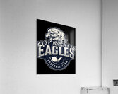 Philadelphia Eagles 14 Acrylic Print