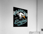 Philadelphia Eagles 42 Acrylic Print