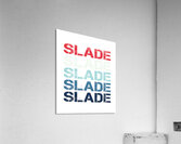slade 18 Acrylic Print