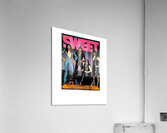 slade 35 Acrylic Print