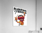 sleeping with sirens 29 Acrylic Print