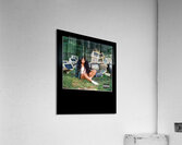 SZA 9 Acrylic Print