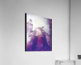 SZA 10 Acrylic Print