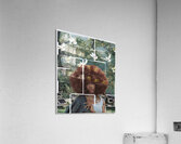 SZA 11 Acrylic Print