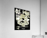 Alice In Chains 41 Acrylic Print