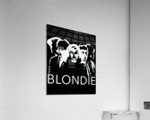 Blondie 12 Acrylic Print