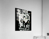 Blondie 27 Acrylic Print