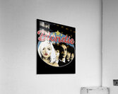 Blondie 41 Acrylic Print