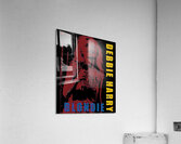 Blondie 25 Acrylic Print