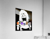 Blondie 41 Acrylic Print