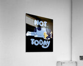 Bluey 30 Acrylic Print