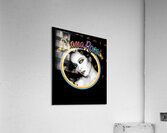 Diana Ross 29 Acrylic Print