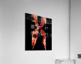 DMX 12 Acrylic Print