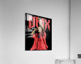 DMX 13 Acrylic Print