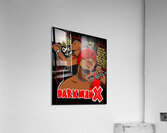 DMX 14 Acrylic Print