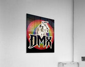 DMX 15 Acrylic Print