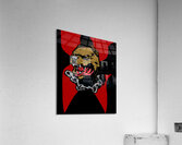 DMX 20 Acrylic Print