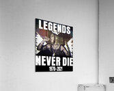 DMX 38 Acrylic Print