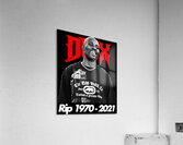 DMX 39 Acrylic Print