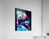 DMX 41 Acrylic Print